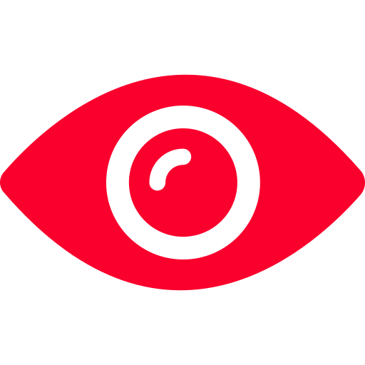 Vision Icon